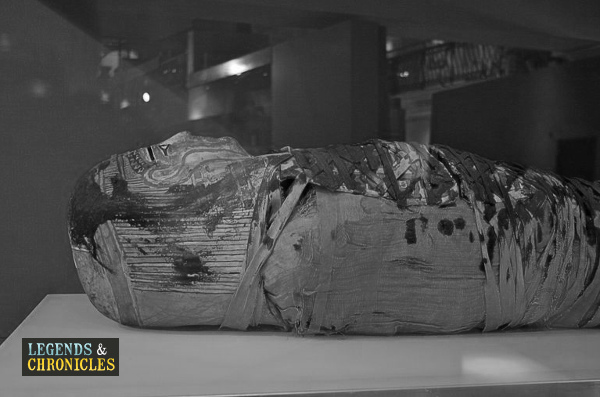 Ancient Egyptian Mummies 1