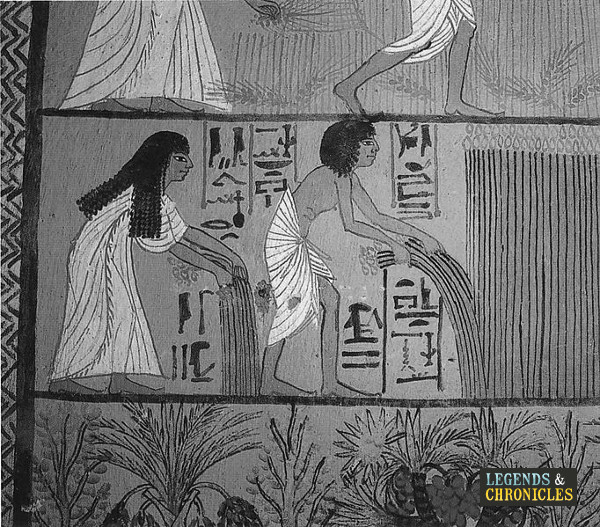 Ancient Egyptian Women 2