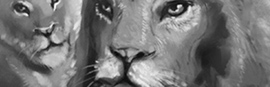 Lion Big Cats
