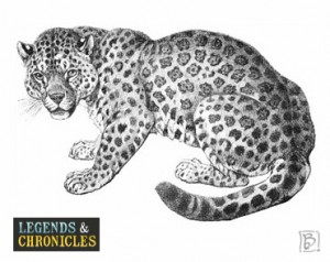 The Leopard Big Cat