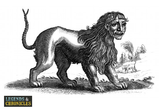 Mythical Greek Manticore 1